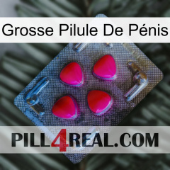 Grosse Pilule De Pénis 13